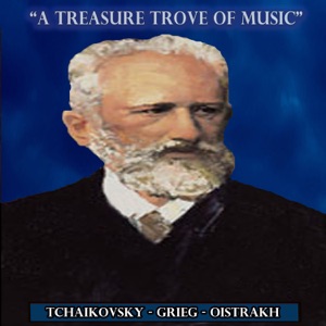 Symphony No. 6 in B Minor, Op. 74: I. Adagio—Allegro non troppo
