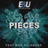 Pieces (feat. Mor Polanuer) artwork