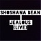 Jealous - Shoshana Bean lyrics