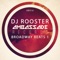 I Can't Get Enough - DJ Rooster lyrics