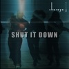 Sharaya J - Shut It Down