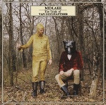 Midlake - It Covers the Hillsides