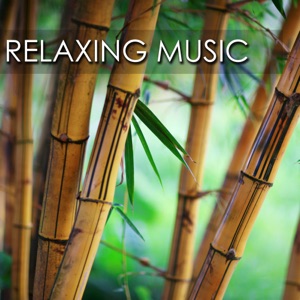 Relaxing Music: Songs and Lullabies to Help You Relax, Sleep and Meditate (With Piano Music and Celtic Harp)