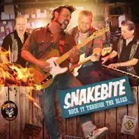 There Goes My Baby — Snakebite