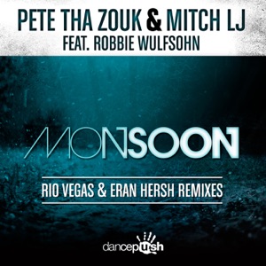 Monsoon (feat. Robbie Wulfsohn) [Rio Vegas & Eran Hersh Remix]