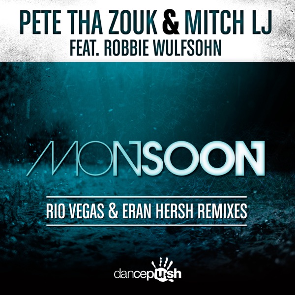 Monsoon (Rio Vegas & Eran Hersh Remixes) [feat. Robbie Wulfsohn] - Single