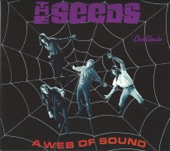 The Seeds - Pictures and Designs (Stereo)