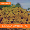 Música Ambiental (Volumen 2) - The Sunshine Orchestra