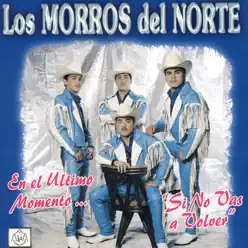Si No Vas A Volver - Los Morros del Norte Si No Vas A Volver - Los Morros del Norte