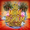 50 Miami Bigroom Sounds, 2015