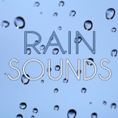 Rain Sounds artwork