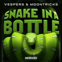 Snake In a Bottle - Single - Vespers & Moontricks