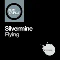 Flying