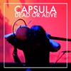 Capsula