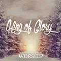 Joy to the Earth (feat. Chris Heeter)