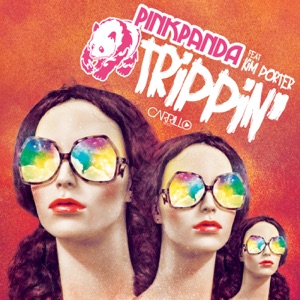 Trippin' (feat. Kim Porter)