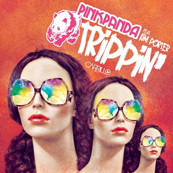 Trippin' (feat. Kim Porter)