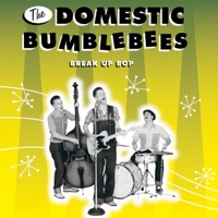 The Domestic Bumblebees - My Girl Can't Quit Pickin'