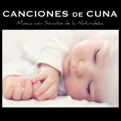 Canciones de Cuna Relajantes y para Bebes en el Vientre Materno - Música con Sonidos de la Naturaleza