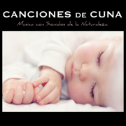 Canciones de Cuna Relajantes y para Bebes en el Vientre Materno - Música con Sonidos de la Naturaleza - Canciones De Cuna