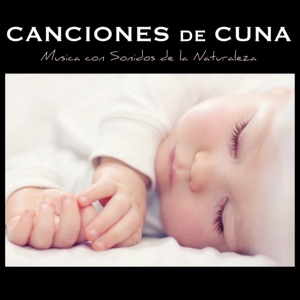 Canciones de Cuna Relajantes y para Bebes en el Vientre Materno - Música con Sonidos de la Naturaleza