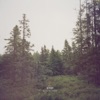 Gidge - Norrland