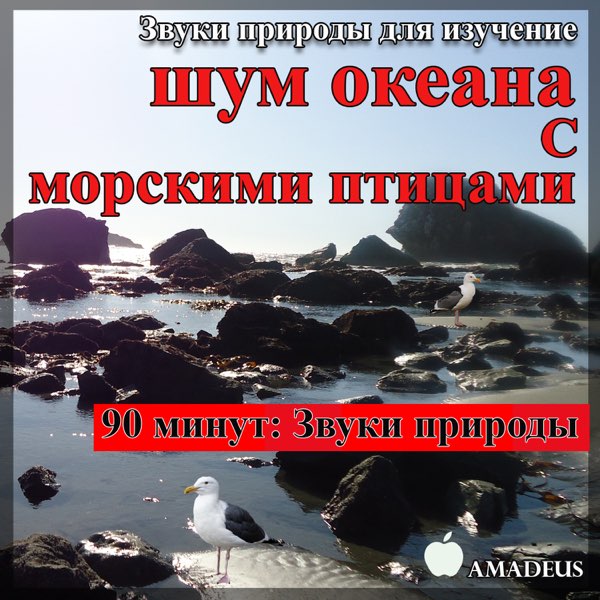 Музыка шум океана. Я могу услышать шум океана. Звуки природы радио.