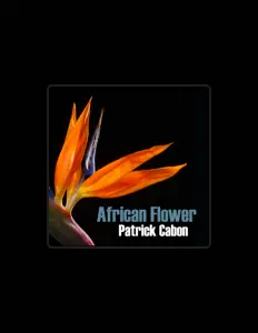 Ouça Patrick Cabon, assista a videoclipes, leia a biografia, veja as datas das turnês e mais!