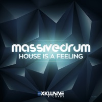 House Is a Feeling - Single - Massivedrum