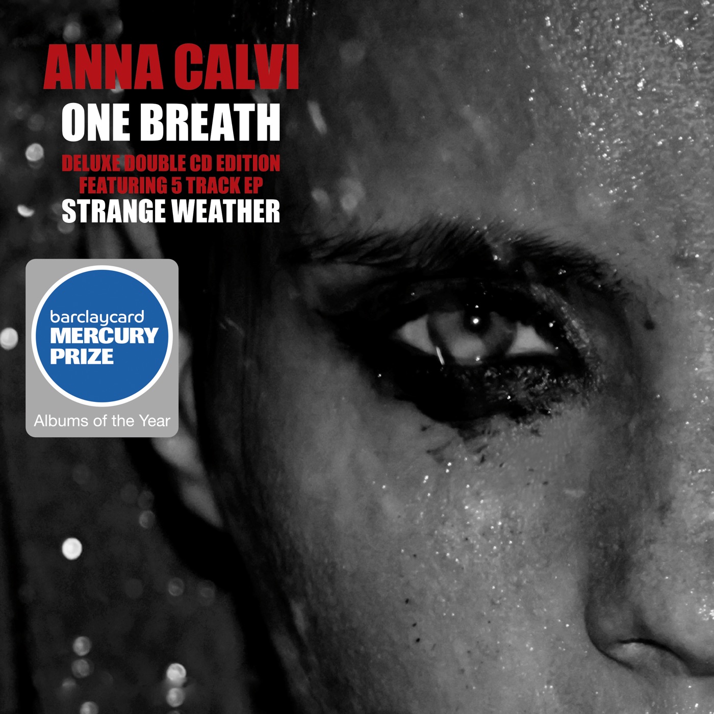 One Breath by Anna Calvi