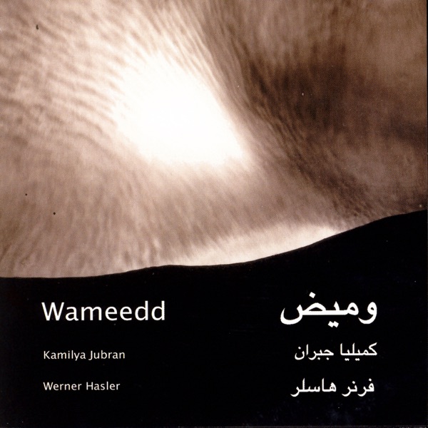 Album art for Al Shaatte Al-Akhar