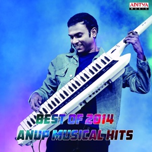 Best of 2014:  Anup Musical Hits