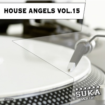 House Angels, Vol. 15