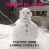 Peaceful Snow Lounge Corps I & II, 2013