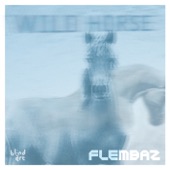 Flembaz - O Bom Sabor Da Selva