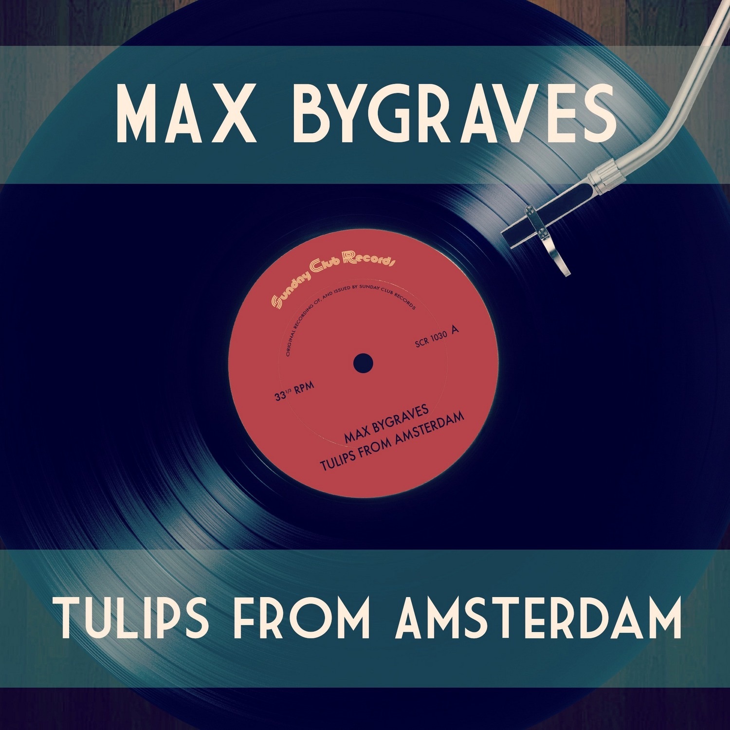 Tulips from Amsterdam
