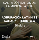 Instrumental Karaoke Series: Shakira, Vol. 2 (Karaoke Version)