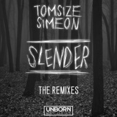 Slender (Debroka Remix) artwork