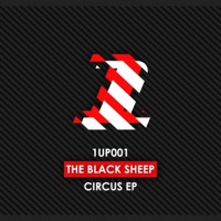 Circus - Single - The Black Sheep