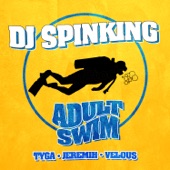 Adult Swim (feat. Tyga, Jeremih & Velous) artwork