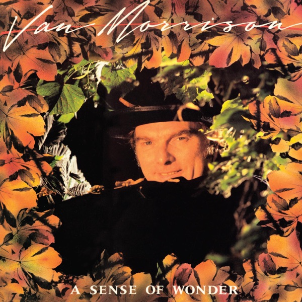 A Sense of Wonder (Bonus Track Version) - Van Morrison