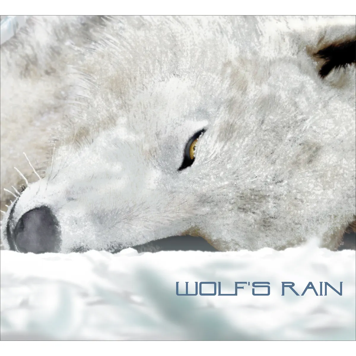 菅野よう子 - Wolf's Raini (2003) [iTunes Plus AAC M4A]-新房子