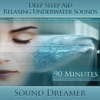 Relaxing Underwater Sounds (Deep Sleep Aid) [For Tinnitus, Insomnia, De-Stress, Meditation, Holistic Healing, Relaxation] [90 Minutes]