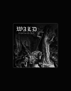 Escucha a Wald, mira videos musicales, lee su biografía, consulta las fechas de las gira y más.