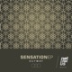 Sensation Single