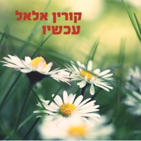 עכשיו - Single - Corinne Allal