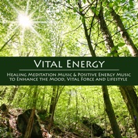 Vital Energy - Healing Meditation Music & Positive Energy Music to Enhance the Mood, Vital Force and Lifestyle - Vital Energy Duo