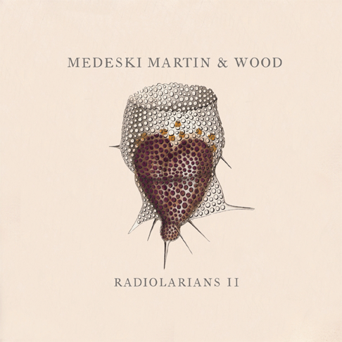 Medeski, Martin & Wood - Apple Music