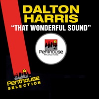 That Wonderful Sound - Single - Dalton Harris