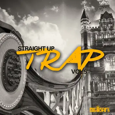 Listen to Straight Up Trap! Vol. 5 by Various Artists